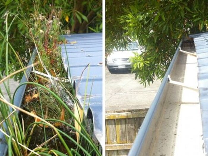Why you need to clean your gutters in Newcastle?