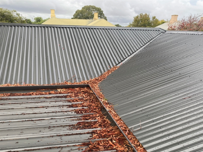 The Importance of Gutter Cleaning and Solar Panel Cleaning in Sydney South West