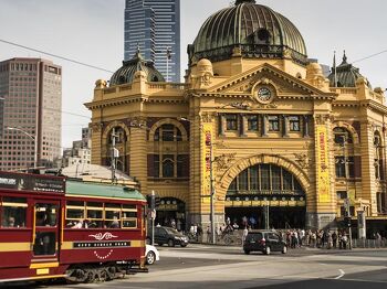 Melbourne North Franchise 